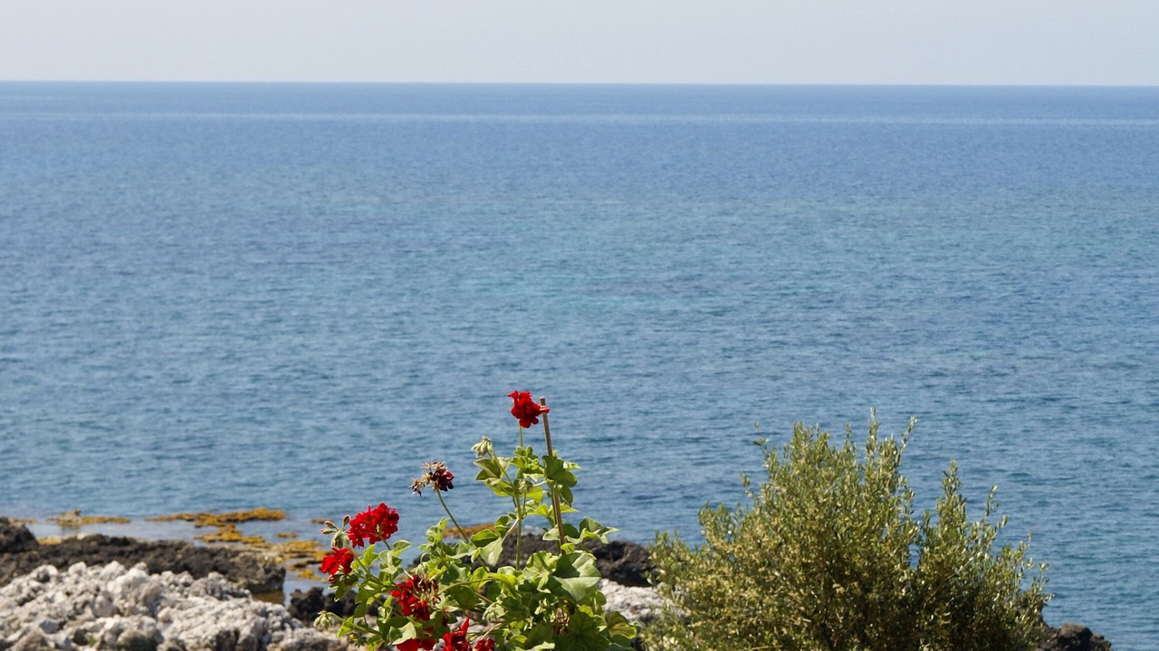 Photo of Others in Stoupa