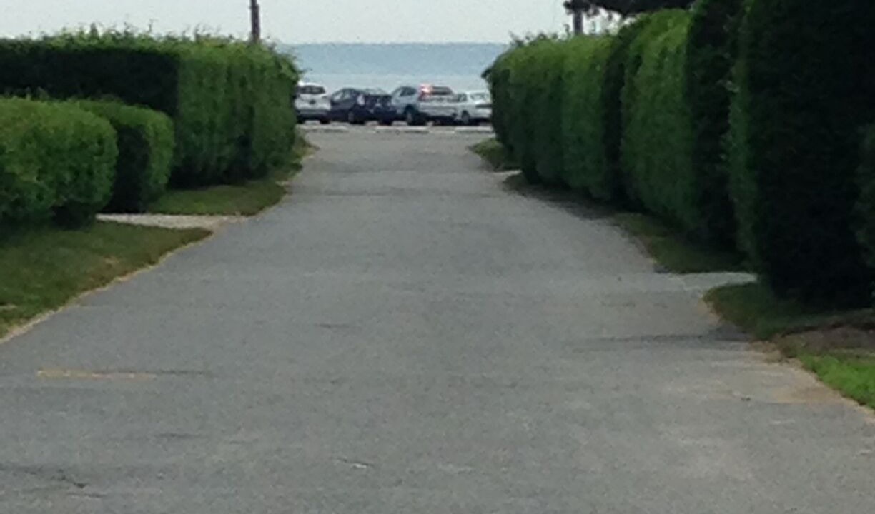 Photo of Others in Falmouth