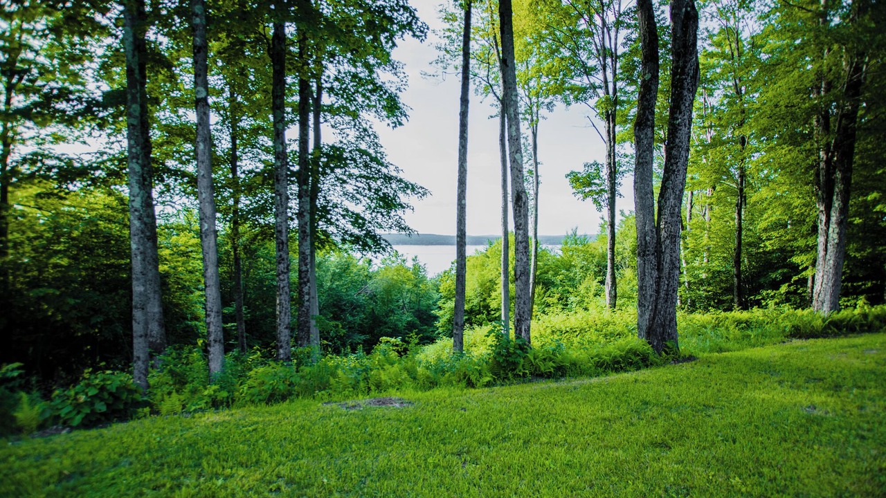 Photo of Outdoor in Cold Brook