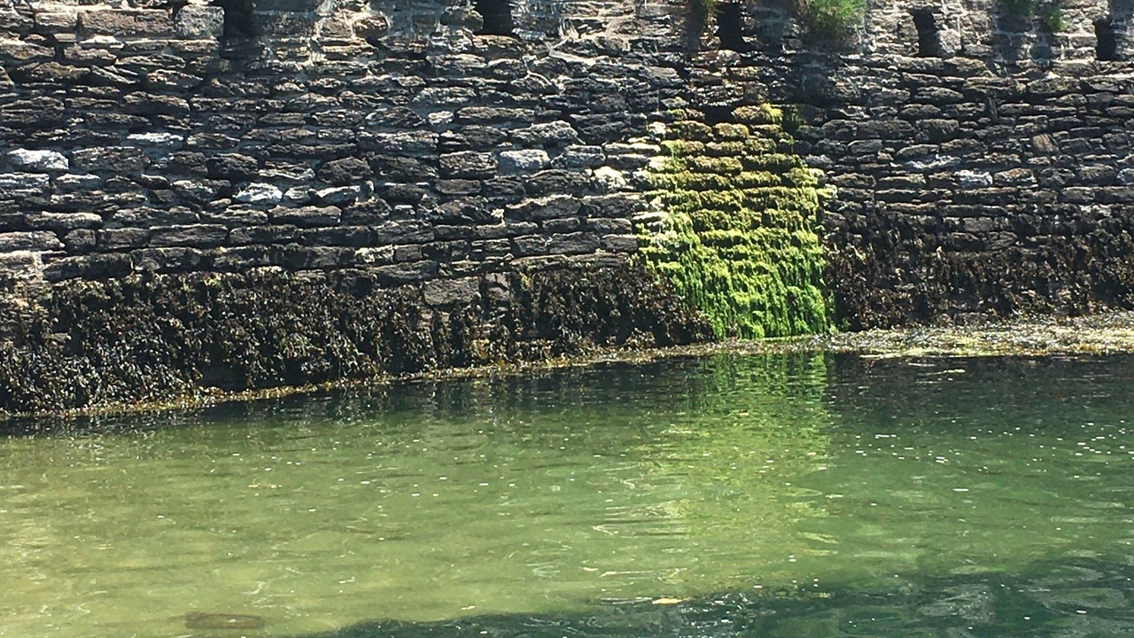 Photo of Outdoor in Doelan