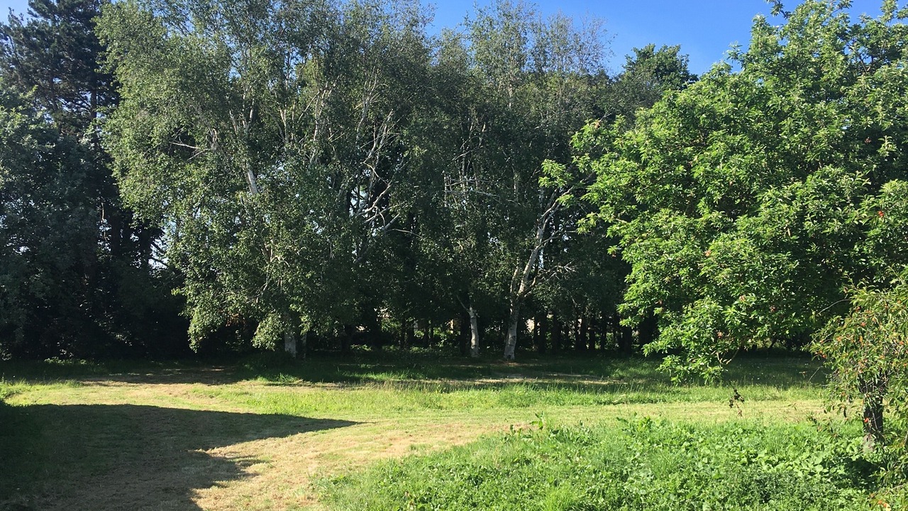 Photo of Others in Plurien
