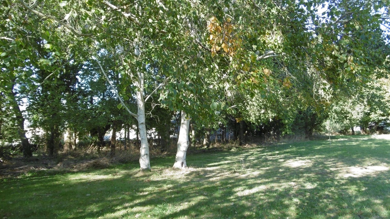Photo of Others in Plurien