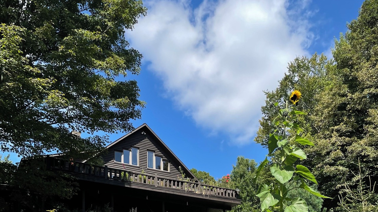 Photo of Outdoor in Bovina Center