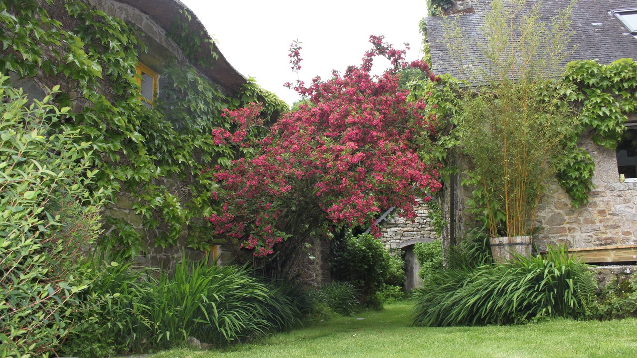 Photo of Outdoor in Plelauff