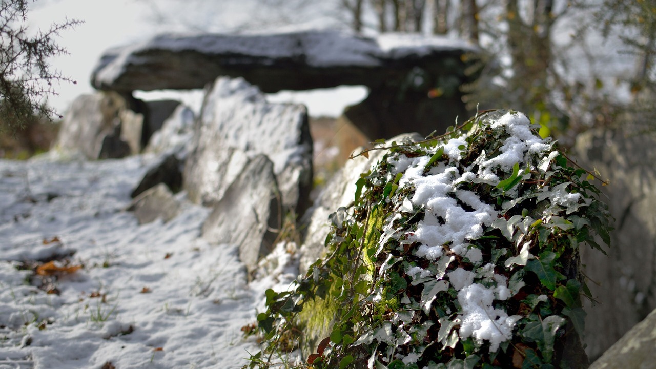 Photo of Outdoor in Plelauff