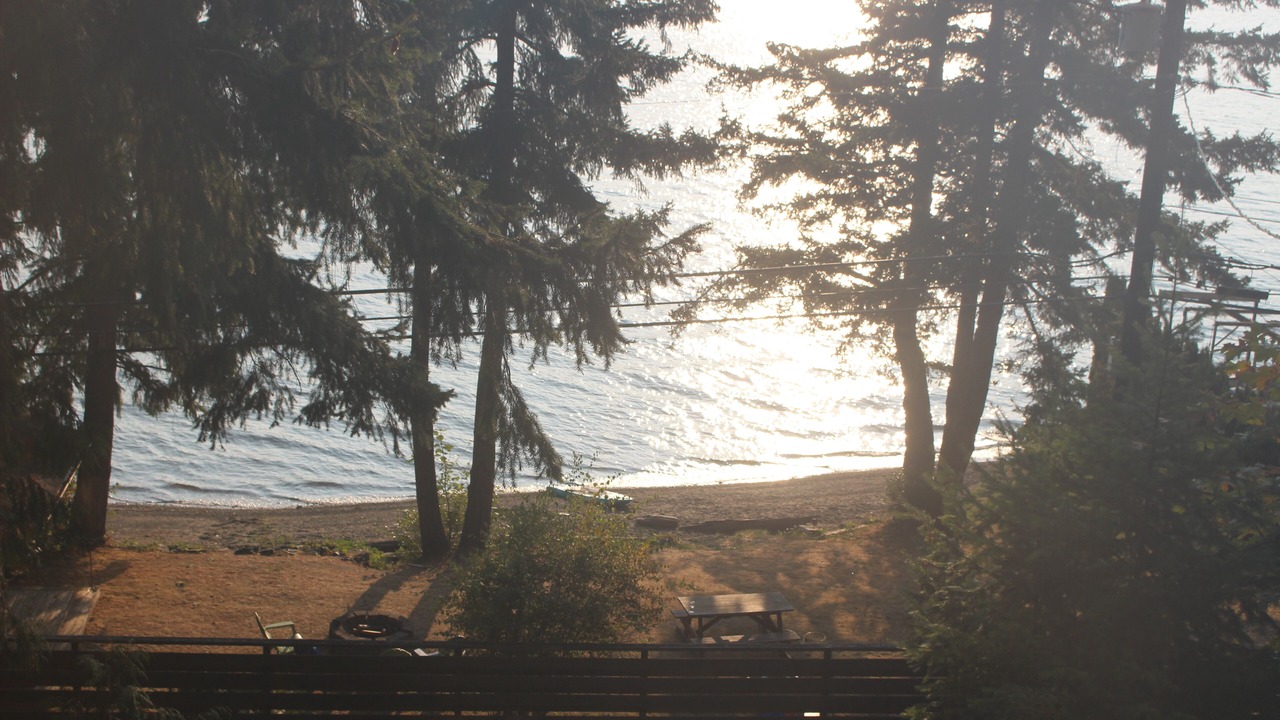 Photo of Others in Bellingham