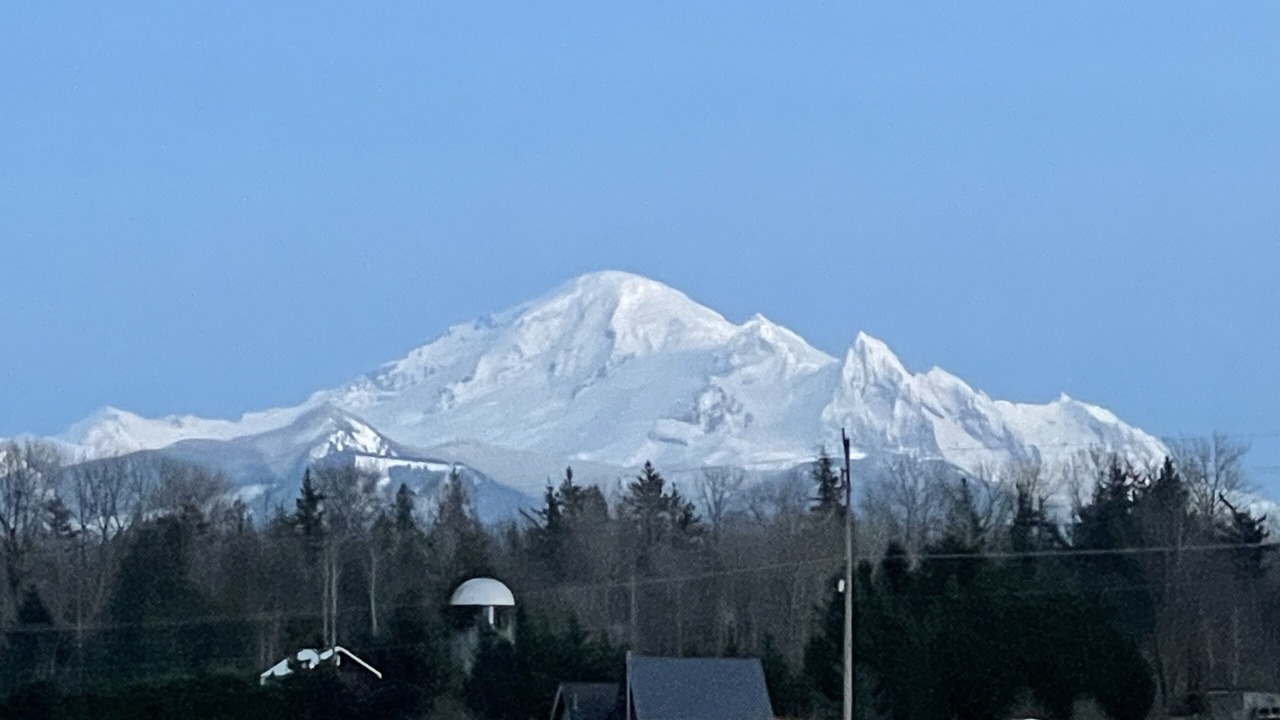 Photo of Others in Bellingham