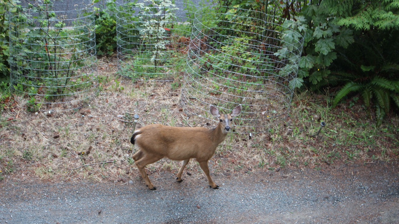 Photo of Others in Bellingham