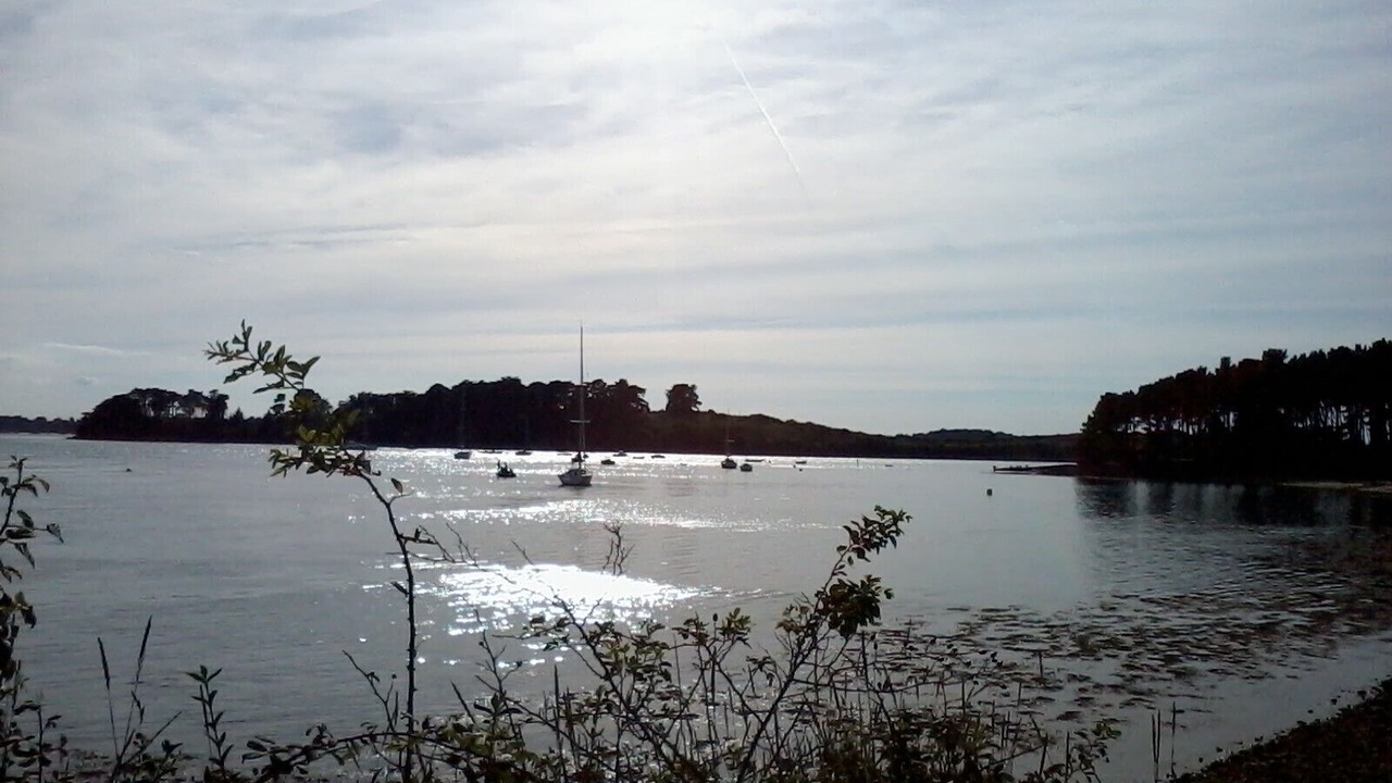 Photo of Others in Ile-aux-Moines