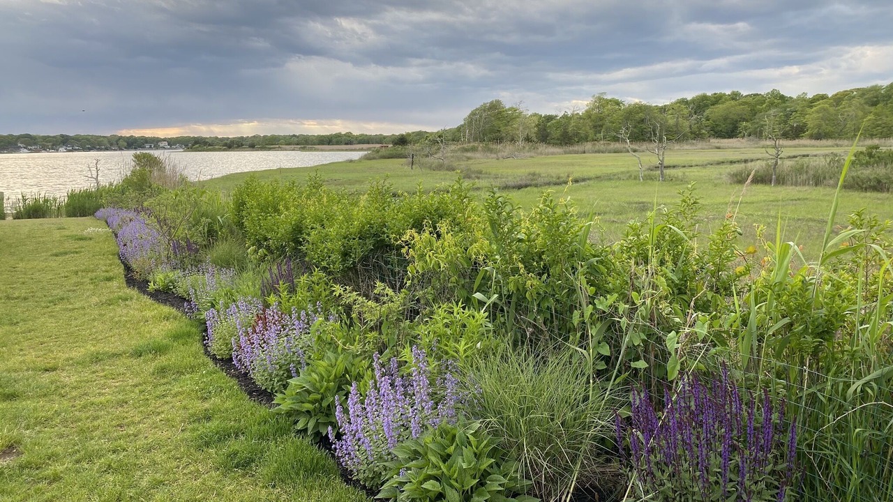 Photo of Outdoor in Center Moriches