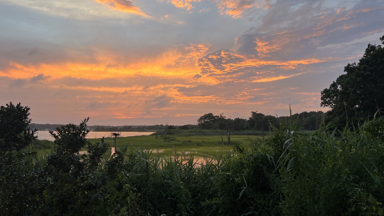 Photo of Others in Center Moriches