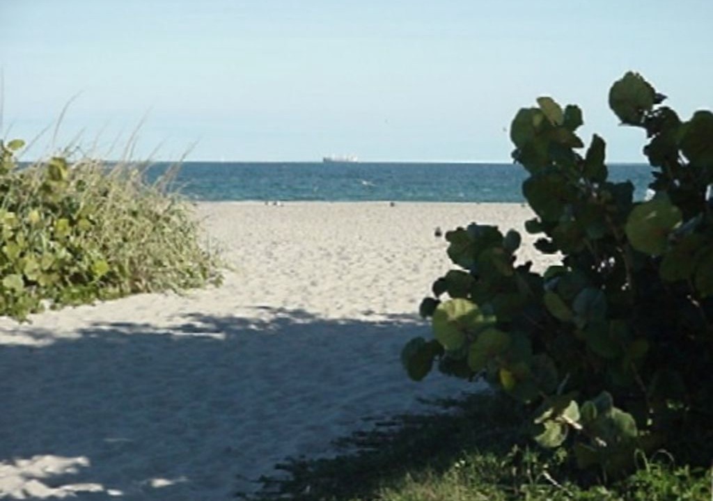 Photo of Others in Cocoa Beach