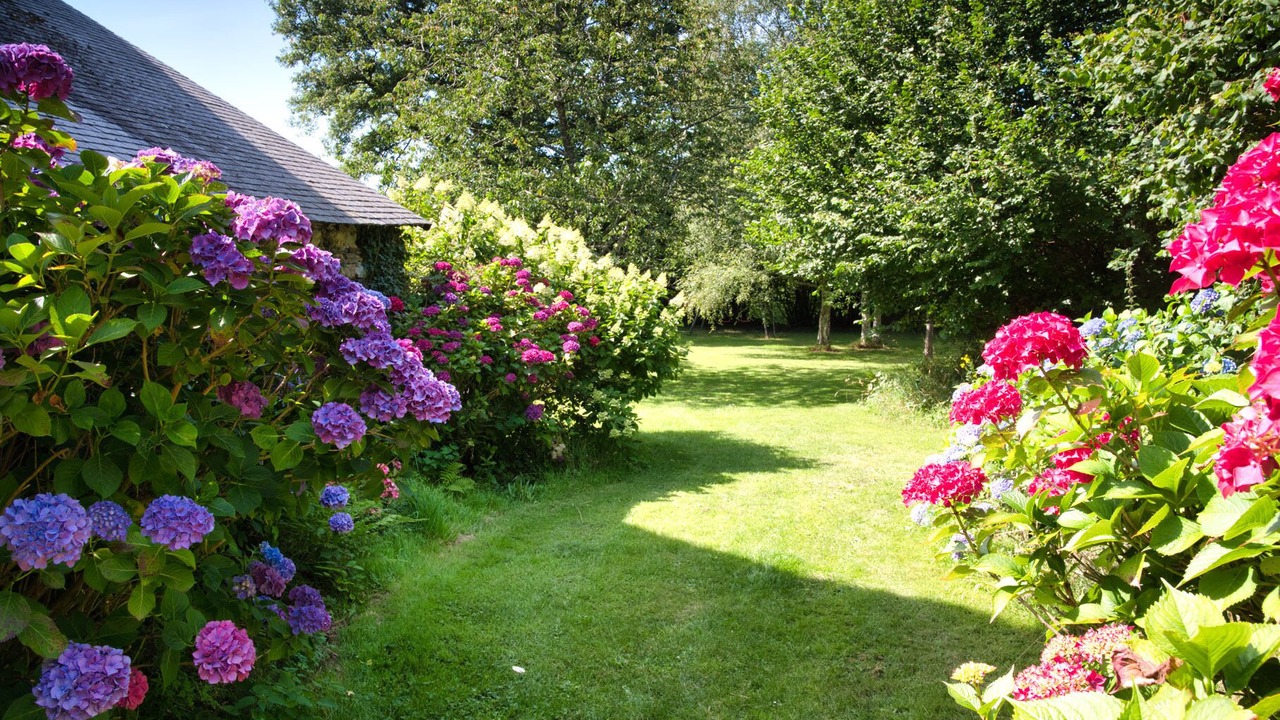 Photo of Outdoor in Perret