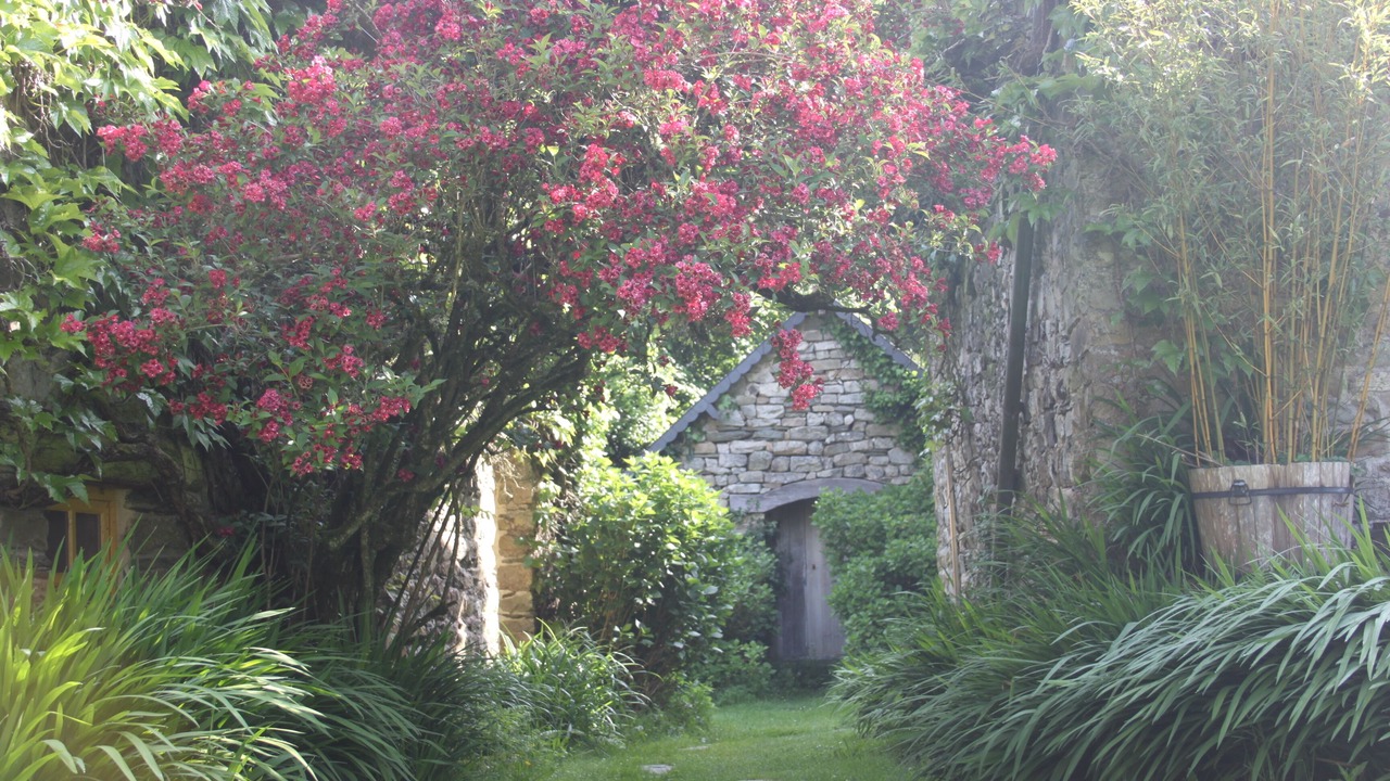 Photo of Outdoor in Perret