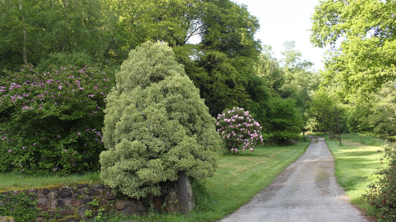 Photo of Outdoor in Perret