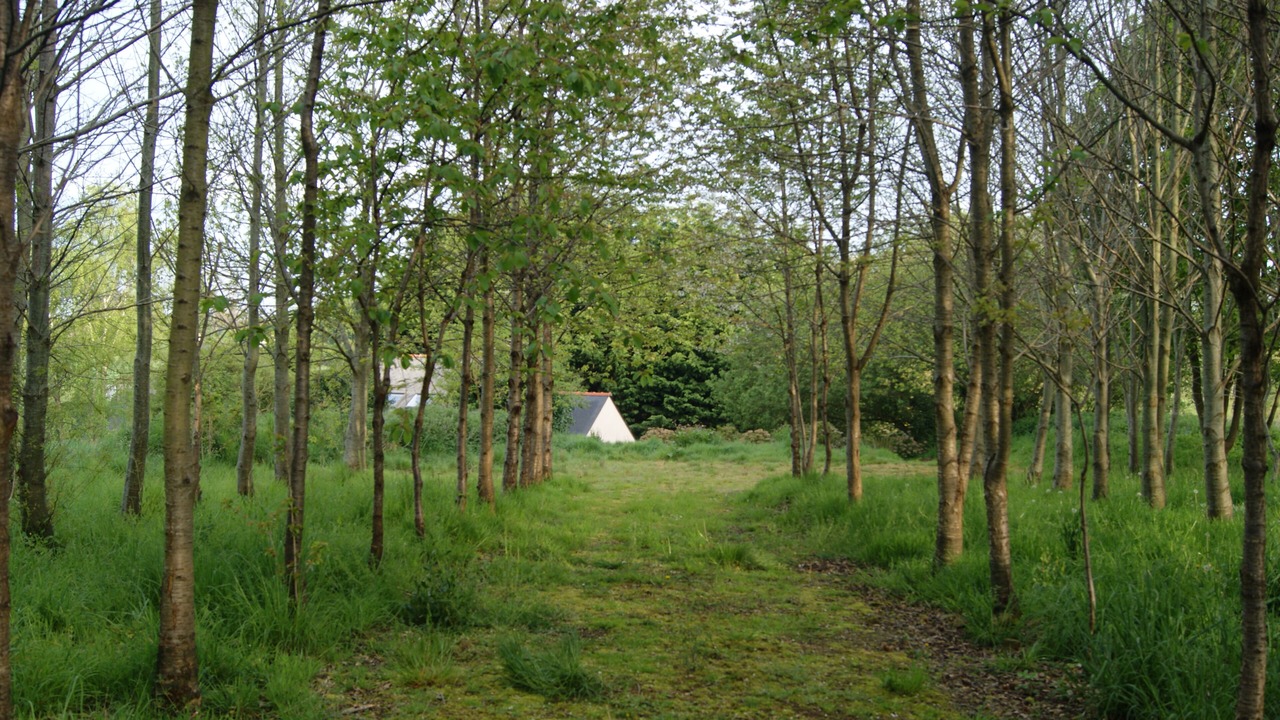 Photo of Outdoor in Gommenec'h