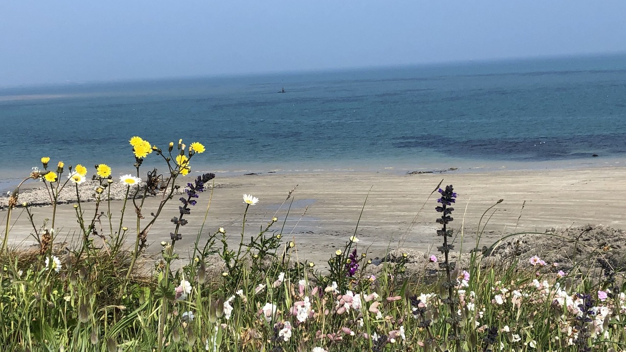 Photo of Others in Binic-Etables-sur-Mer