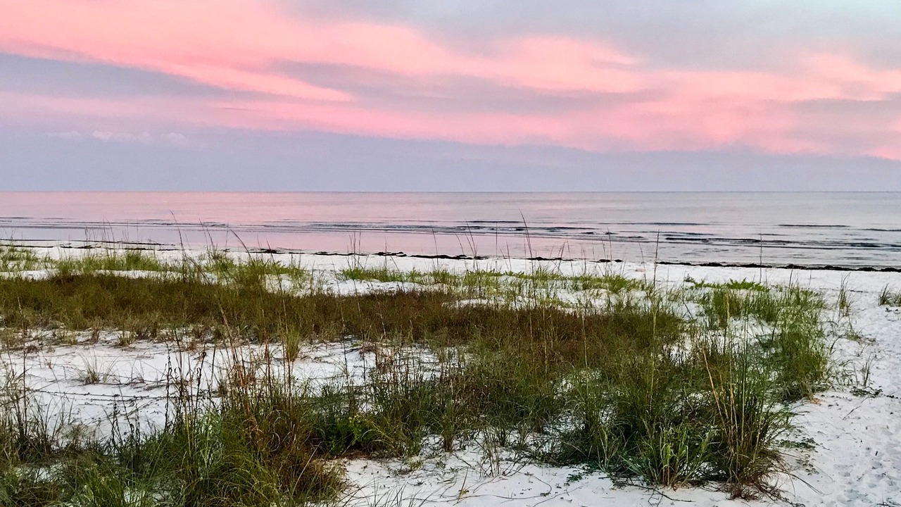Photo of Others in Alligator Point