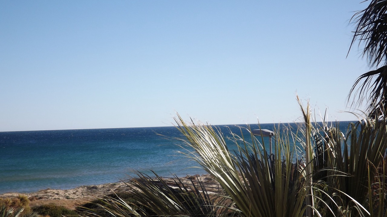 Photo of Others in Platja de Piles