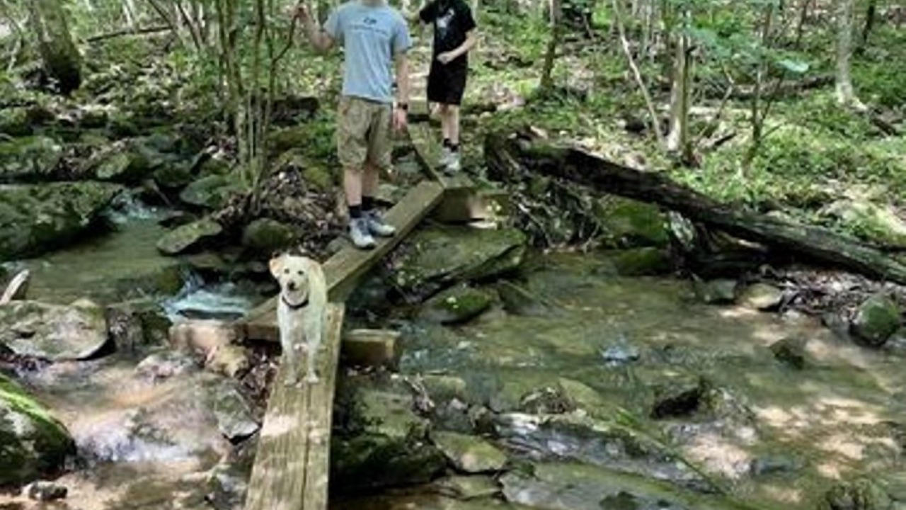 Photo of Others in Nellysford
