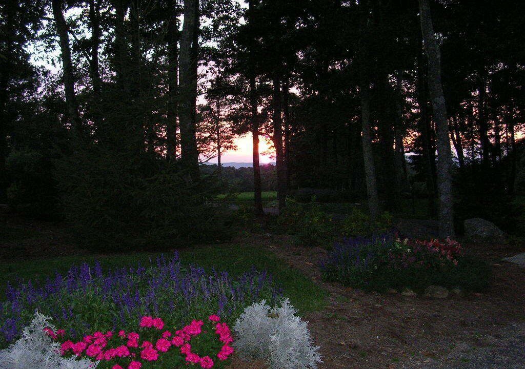 Photo of Others in Nellysford