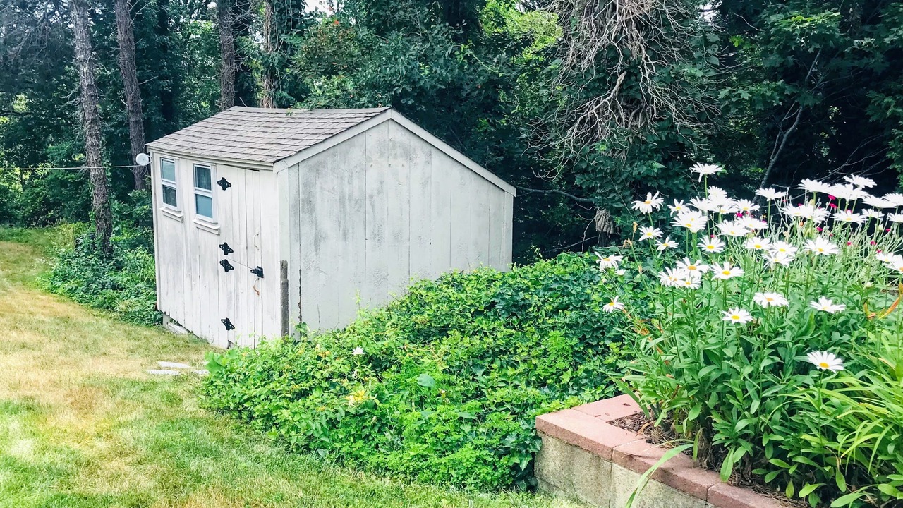 Photo of Others in West Chatham