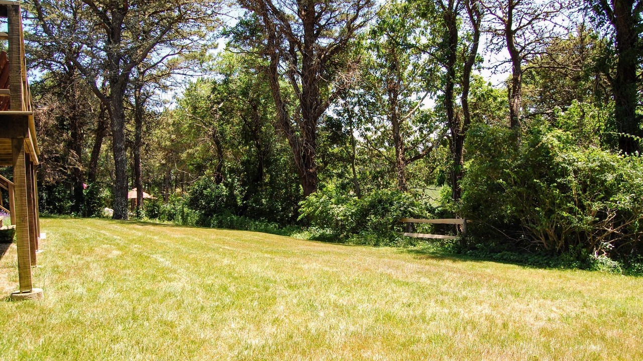 Photo of Others in West Chatham