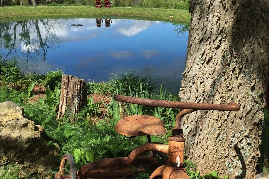 Photo of Outdoor in Madison