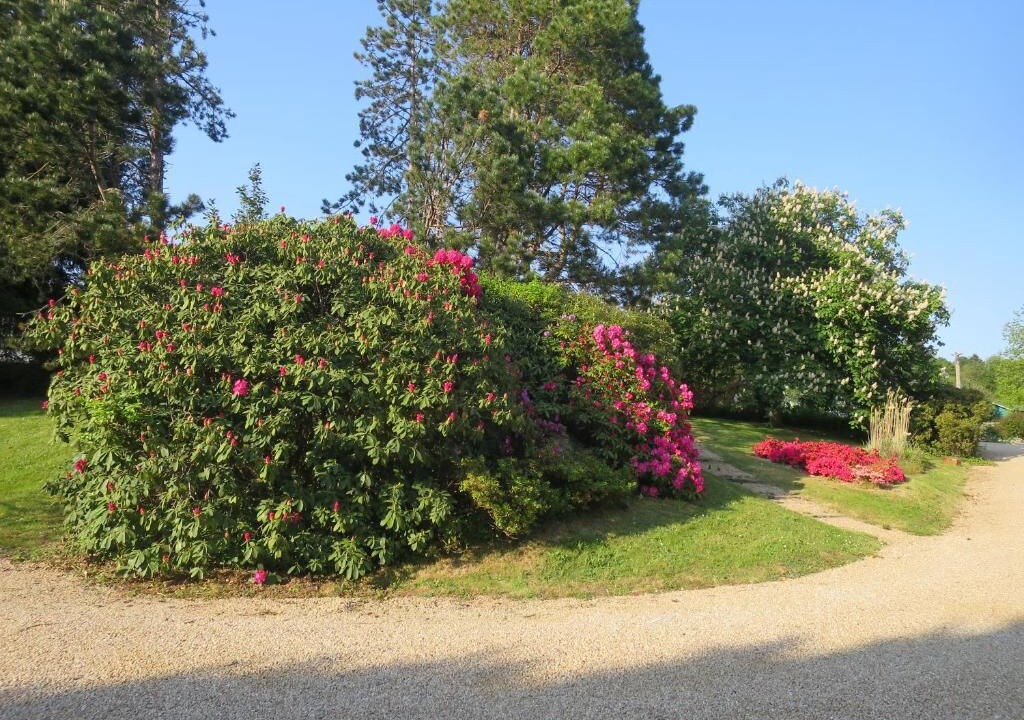 Photo of Outdoor in Plouezoch