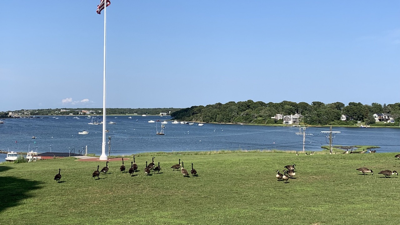 Photo of Others in Vineyard Haven