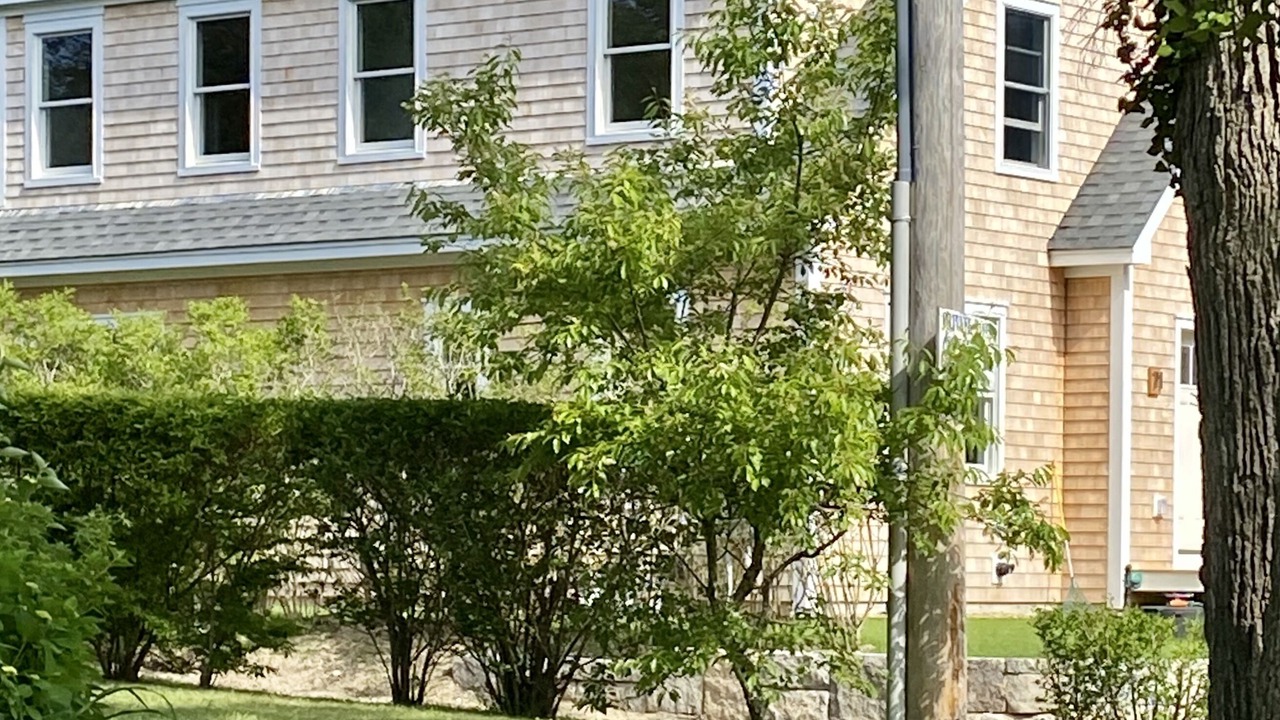 Photo of Outdoor in Vineyard Haven