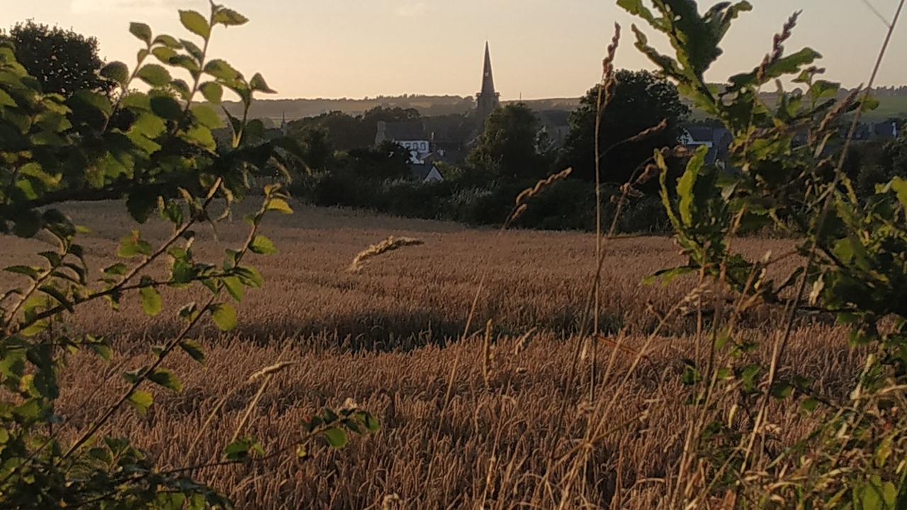 Photo of Outdoor in La Roche-Derrien