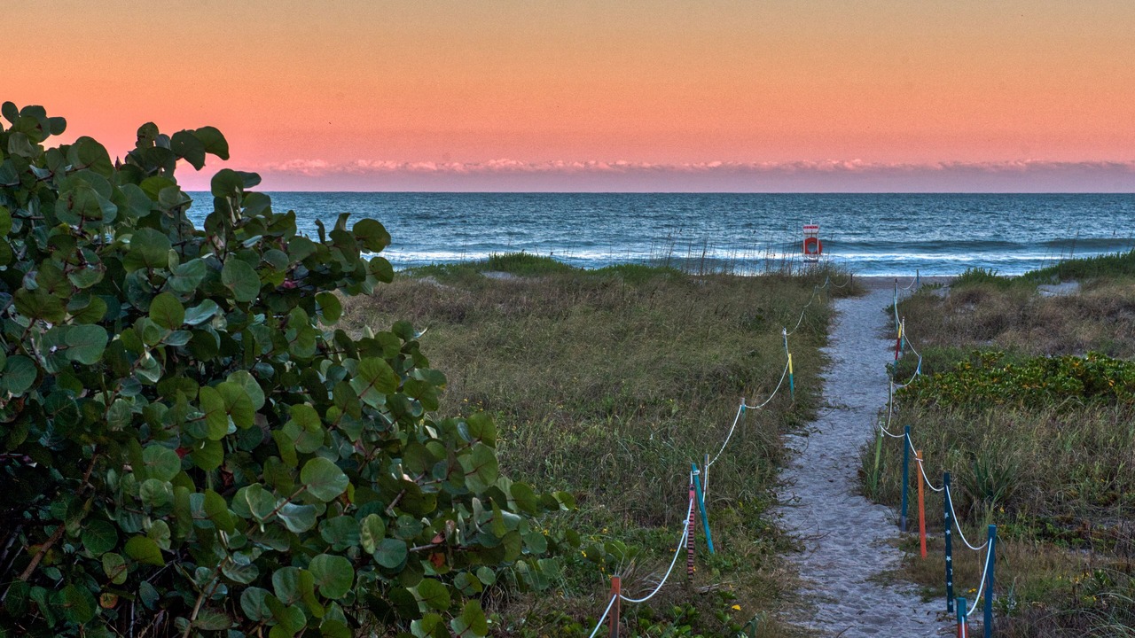 Photo of Others in Cocoa Beach