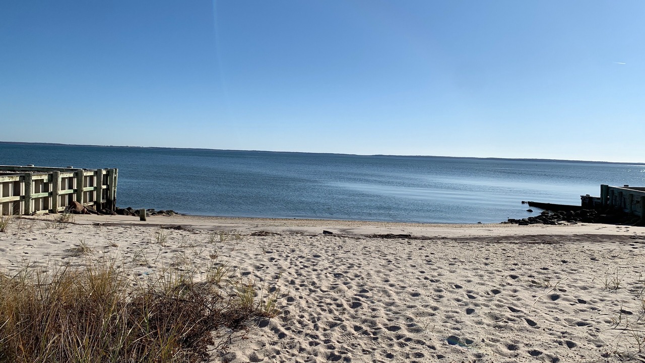 Photo of Others in Mattituck