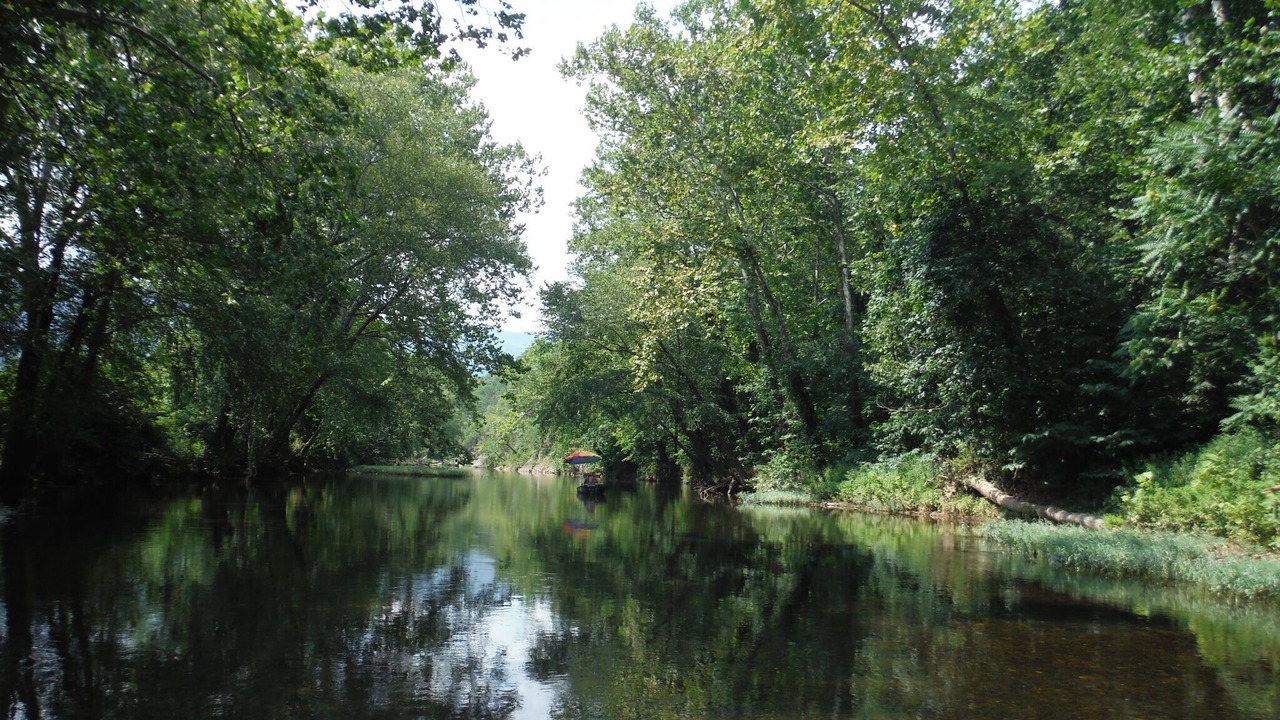 Photo of Others in Oriskany