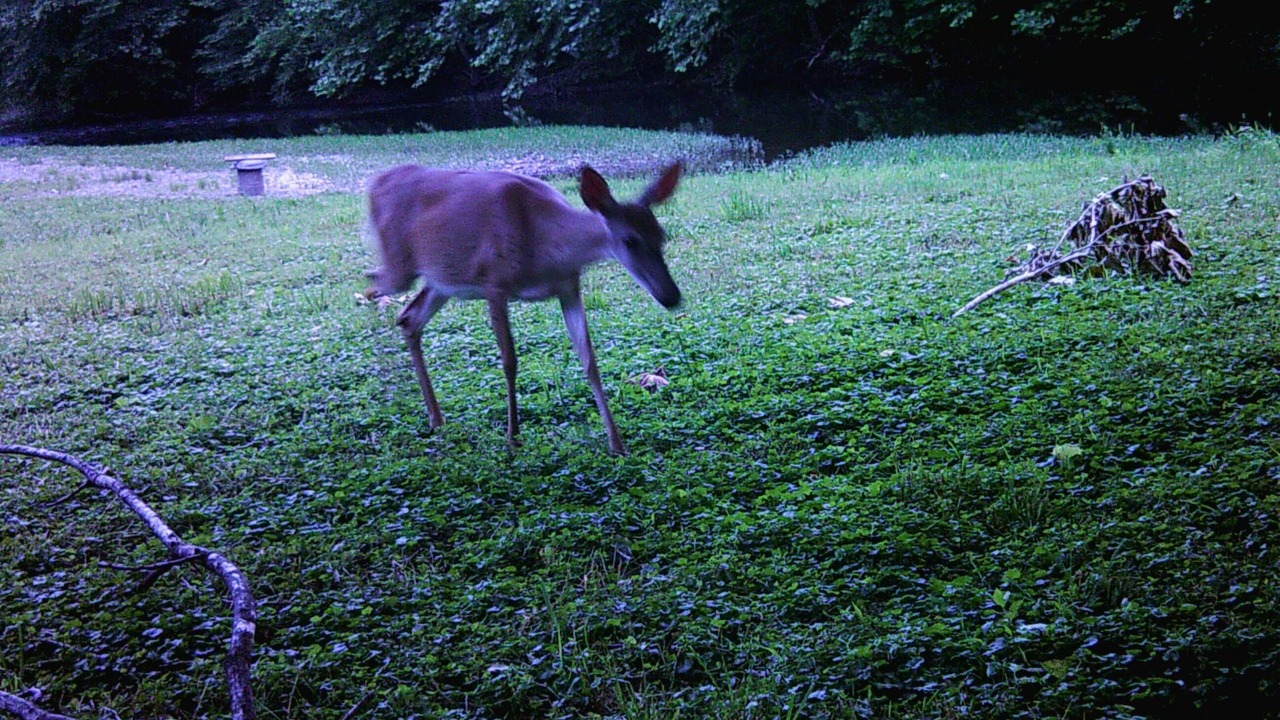 Photo of Others in Oriskany
