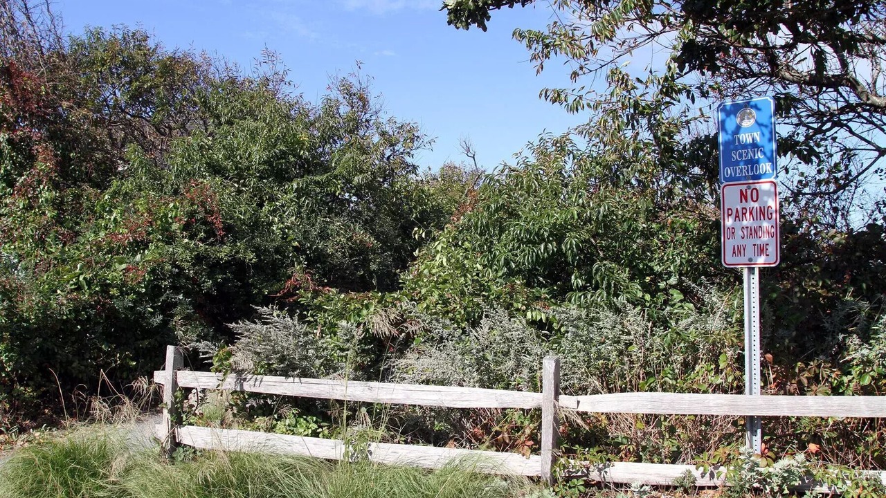 Photo of Outdoor in Dennis