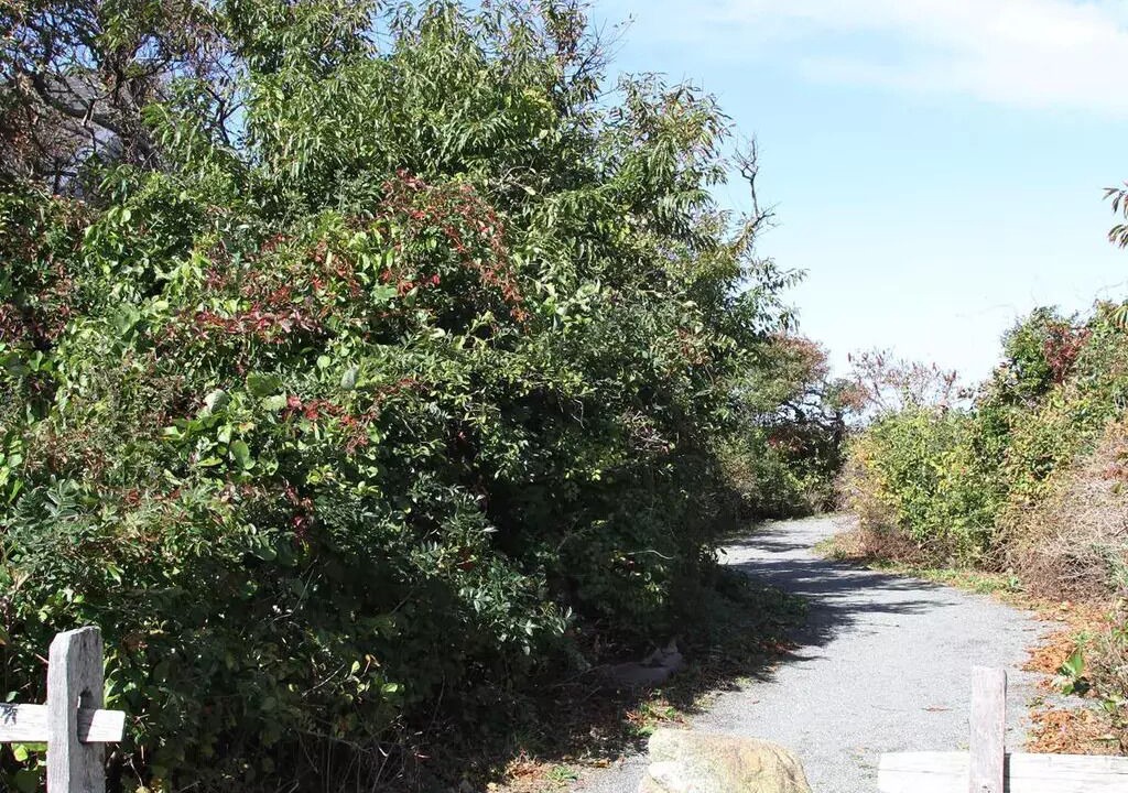 Photo of Outdoor in Dennis