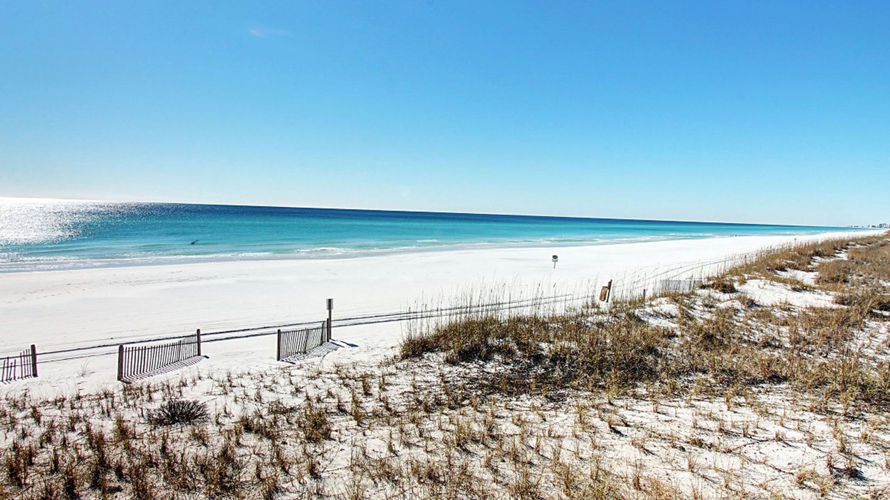 Photo of Others in Miramar Beach