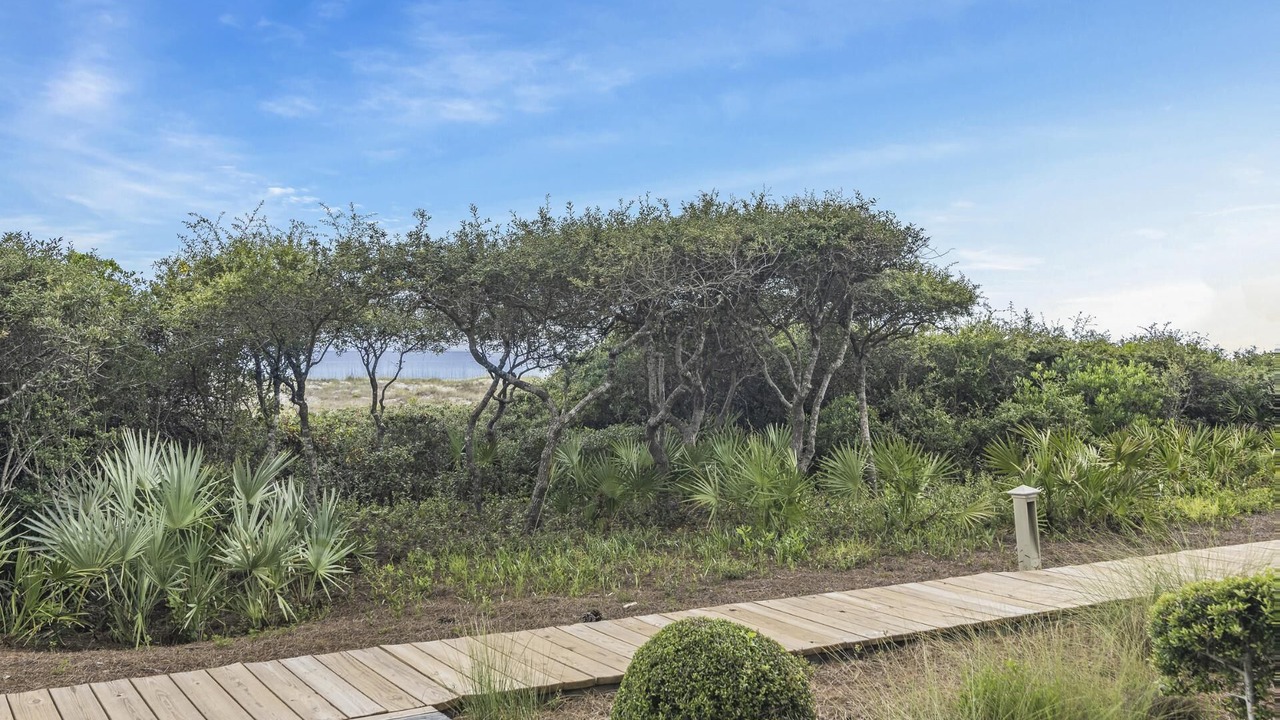 Photo of Outdoor in WaterSound Beach