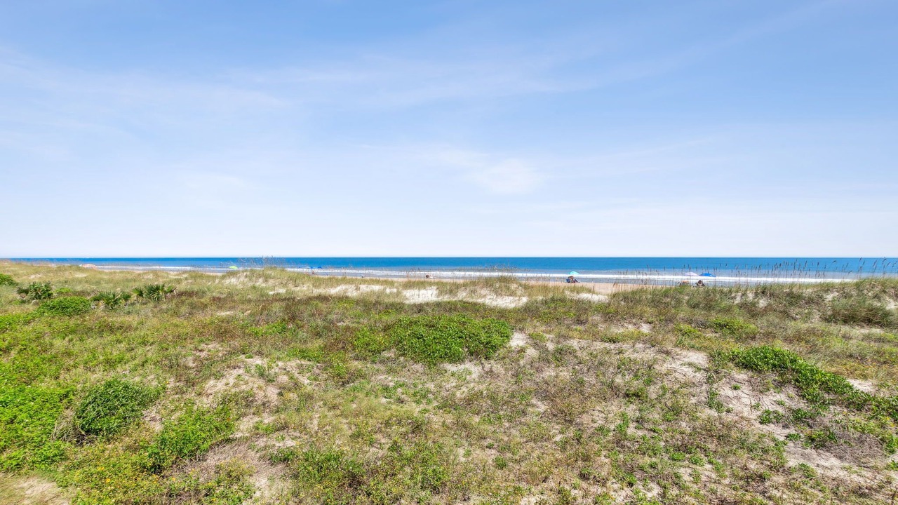 Photo of Others in Ocean Cay