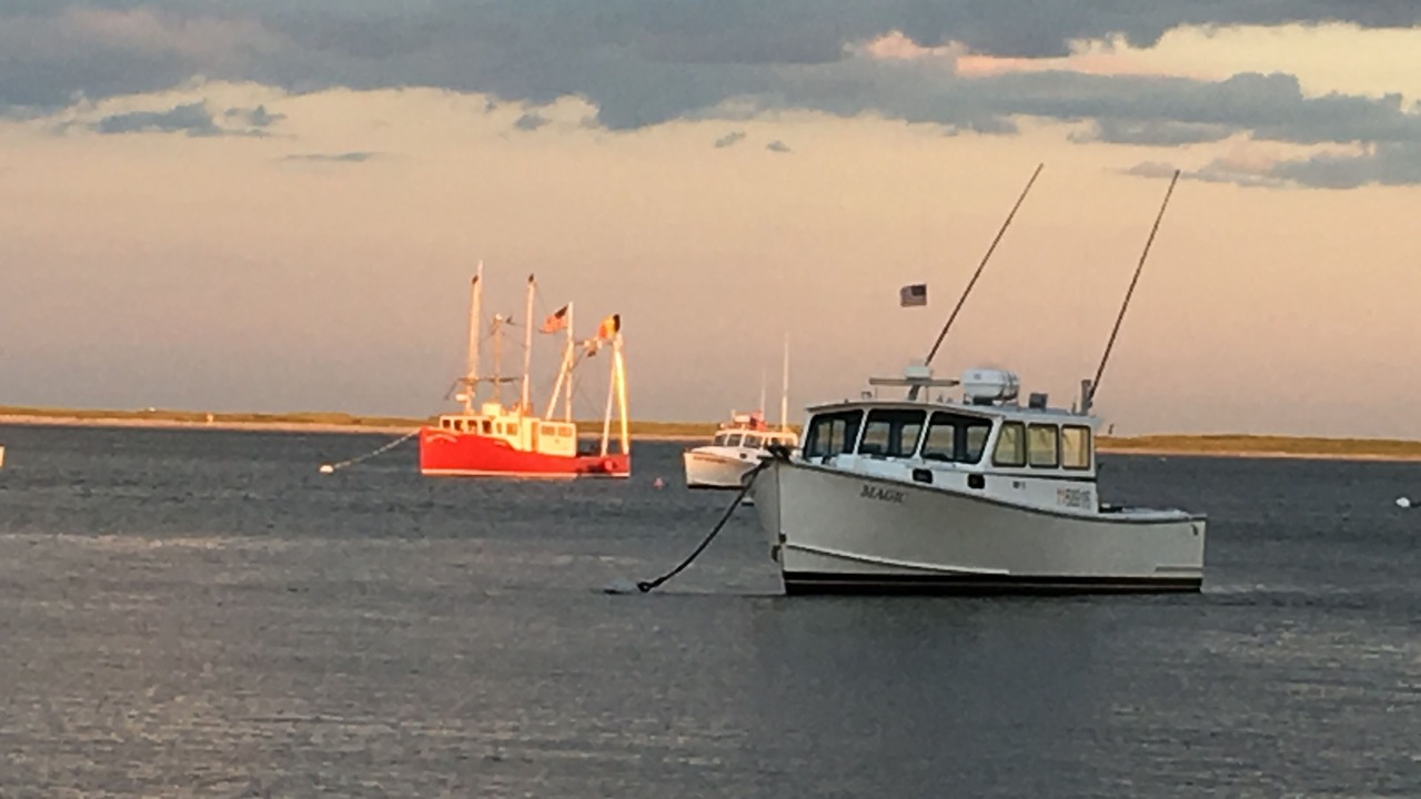 Photo of Others in West Chatham