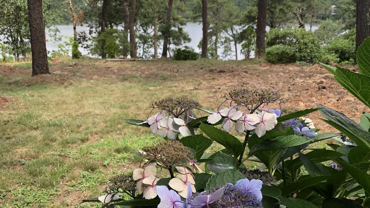 Photo of Outdoor in West Chatham