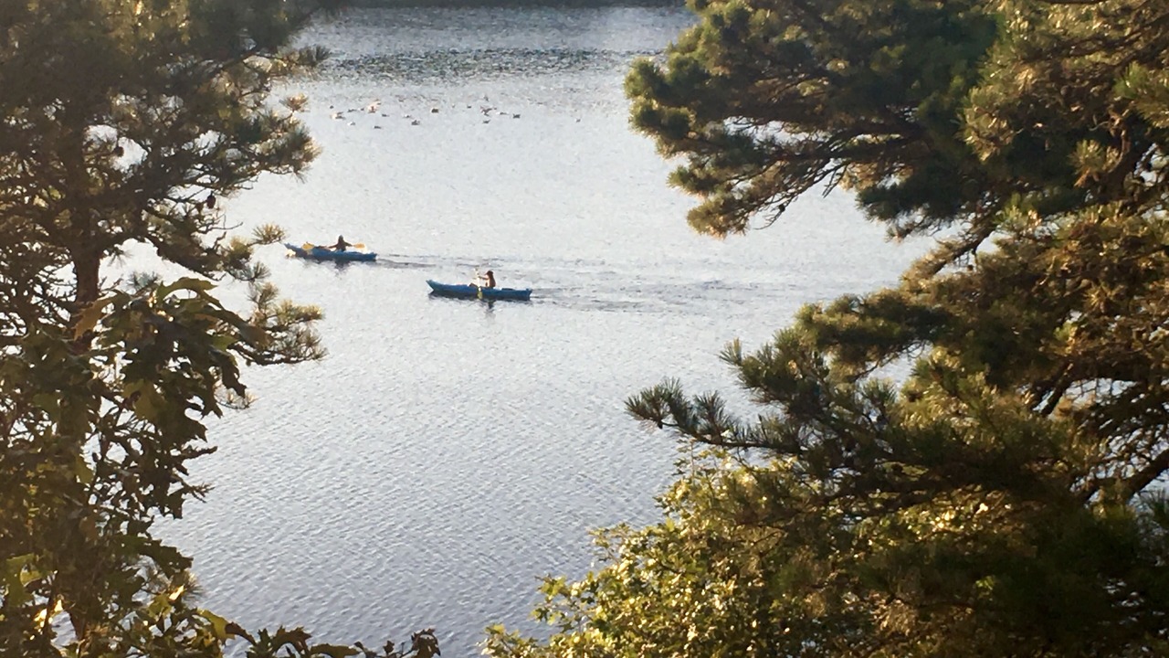 Photo of Others in West Chatham