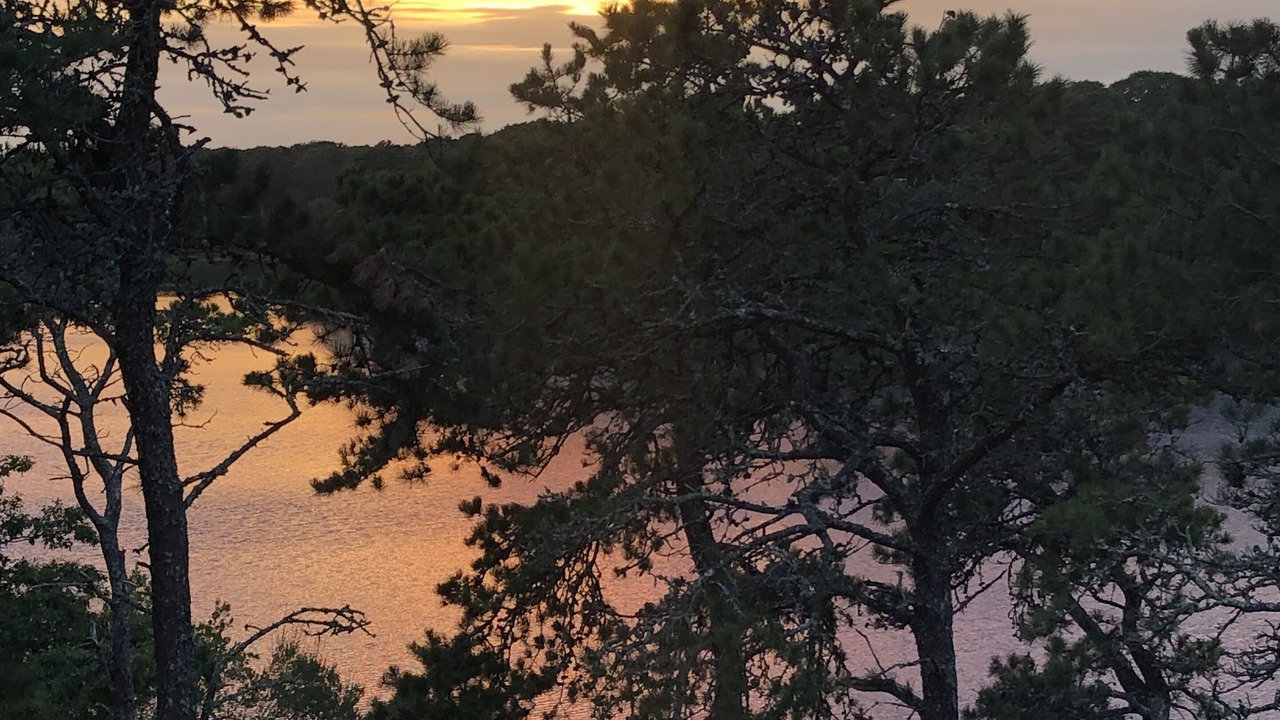 Photo of Others in West Chatham