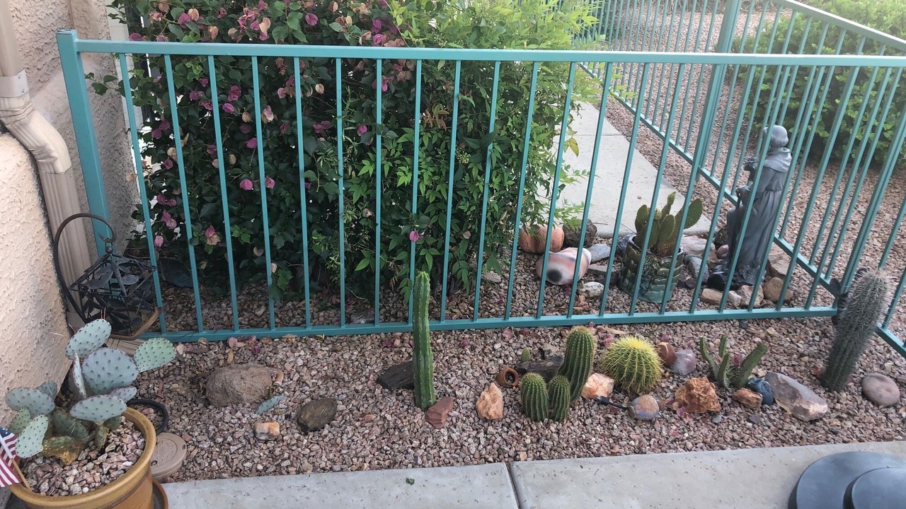 Photo of Outdoor in Superstition Lakes