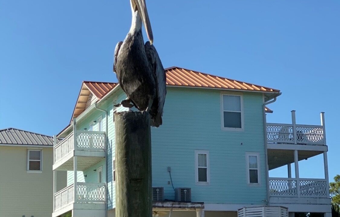 Photo of Others in Crawfordville