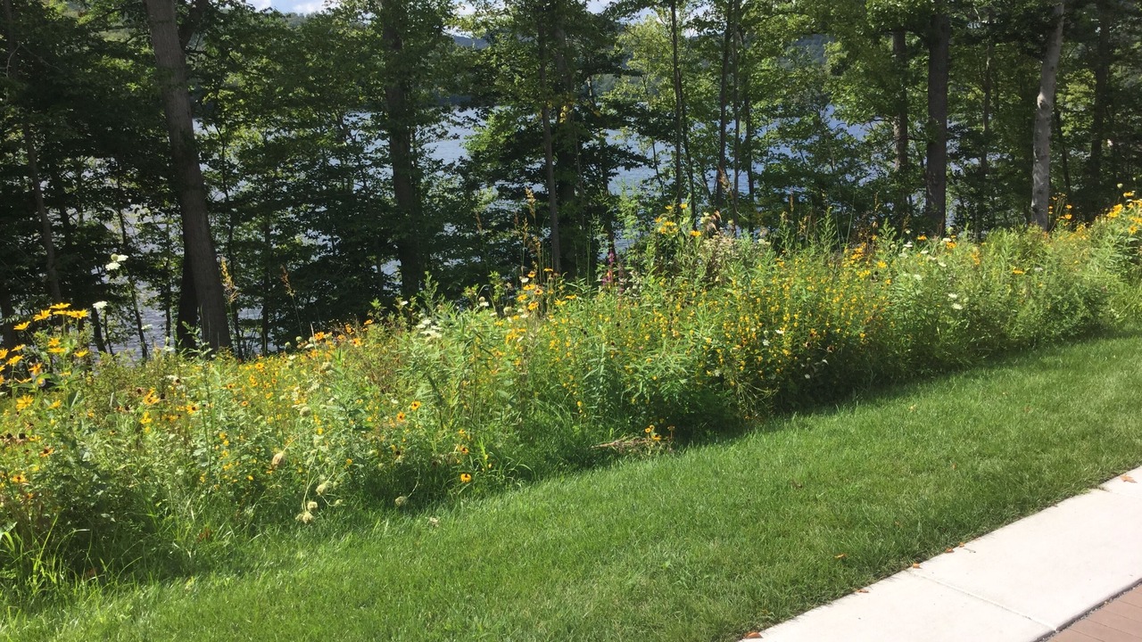 Photo of Outdoor in Glasco