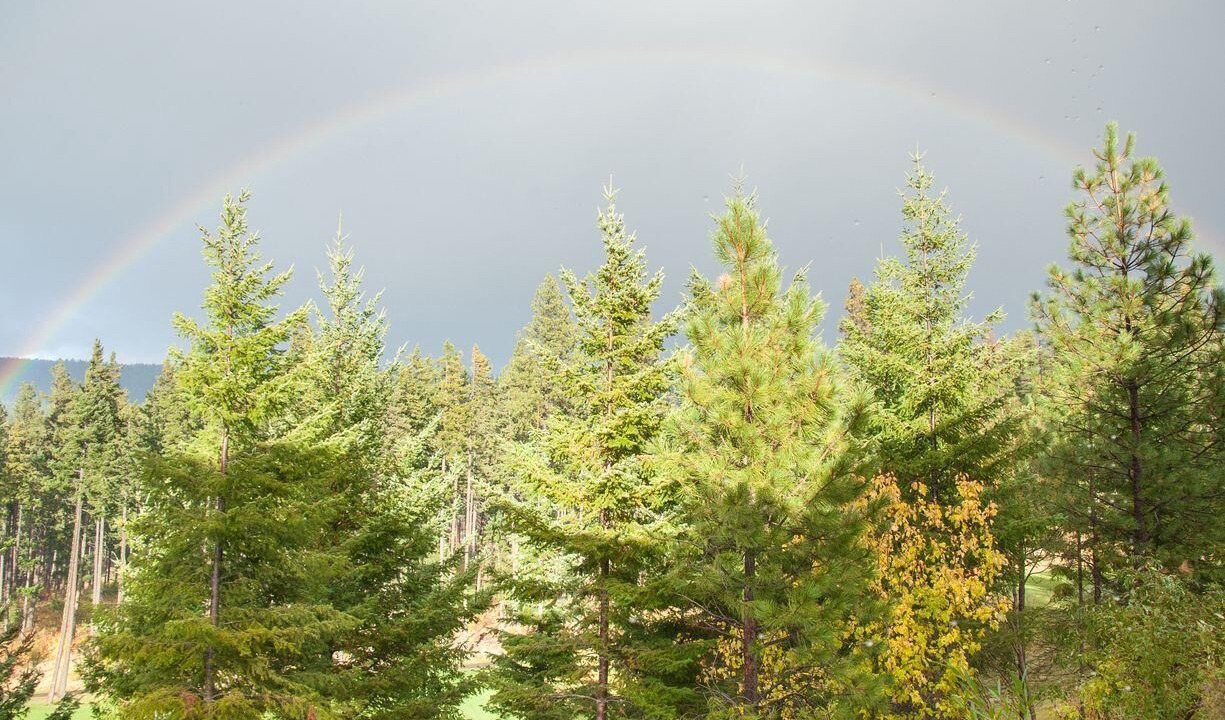 Photo of Others in Cle Elum