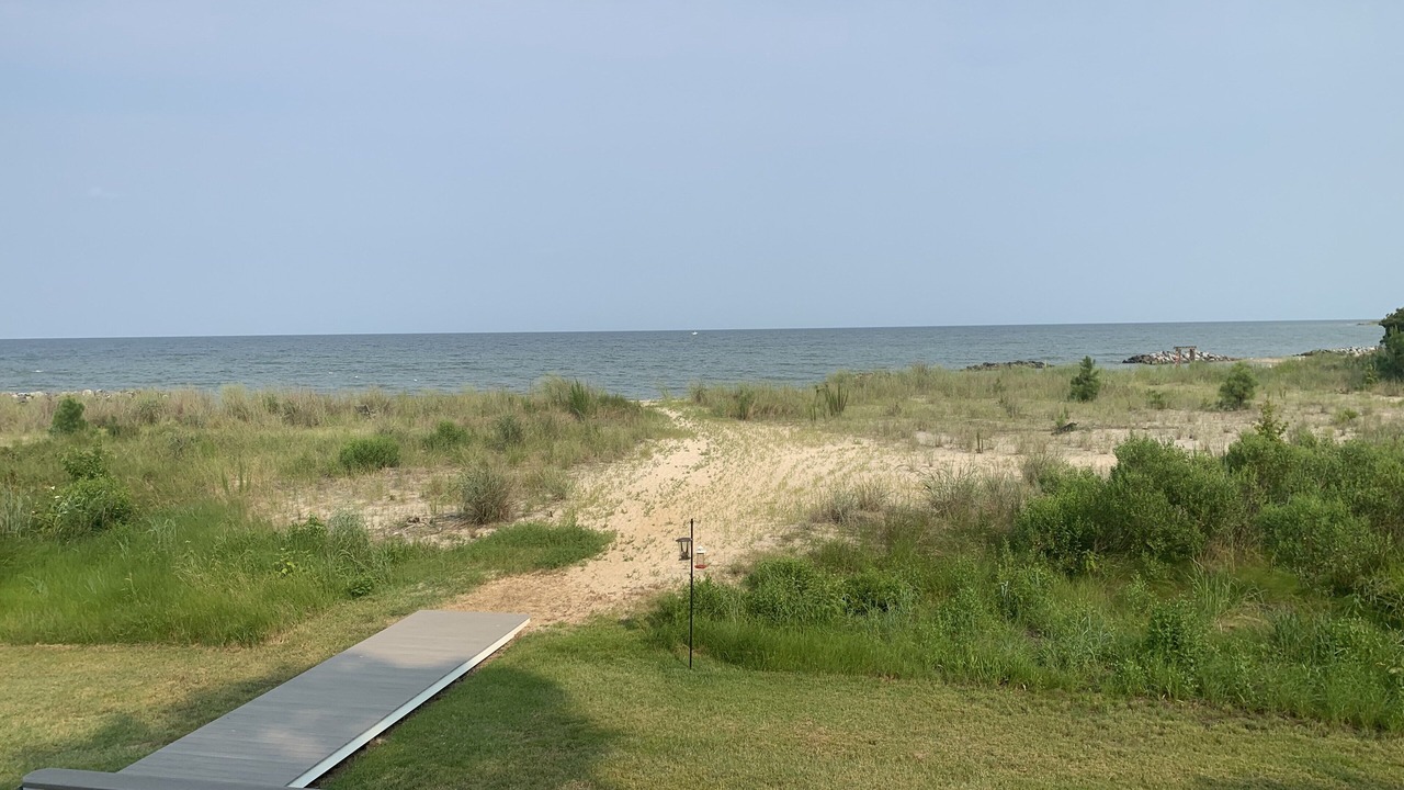Photo of Outdoor in Gwynn